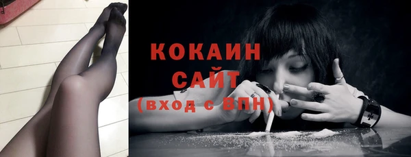 стафф Медногорск