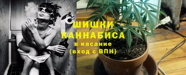 стафф Медногорск