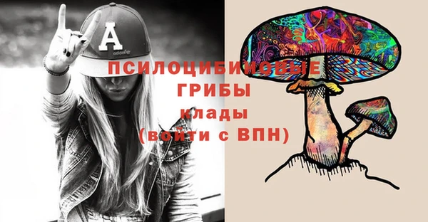 стафф Медногорск