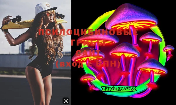 ешки Мегион